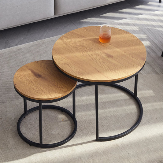 EGOONM 2Pcs Nordic Coffee Table 2 in 1 Round Combination Office Tea table Modern Minimalist Home Sofa Ins Side Table Living Room